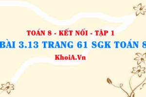 Bài 3.13 trang 61 SGK Toán 8 tập 1 Kết nối tri thức